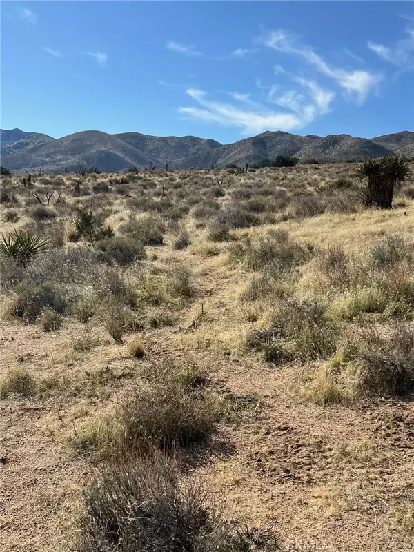 Apple Valley, CA 92308,23 Outpost