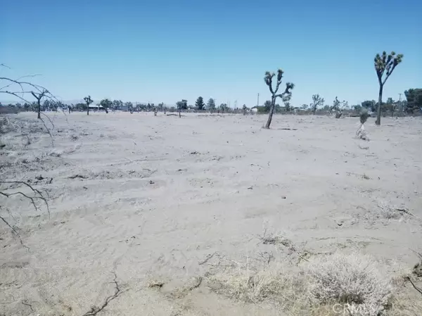 Pinon Hills, CA 92372,0 Pionero
