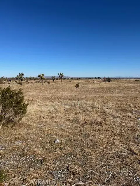 Phelan, CA 92371,0 La Mesa