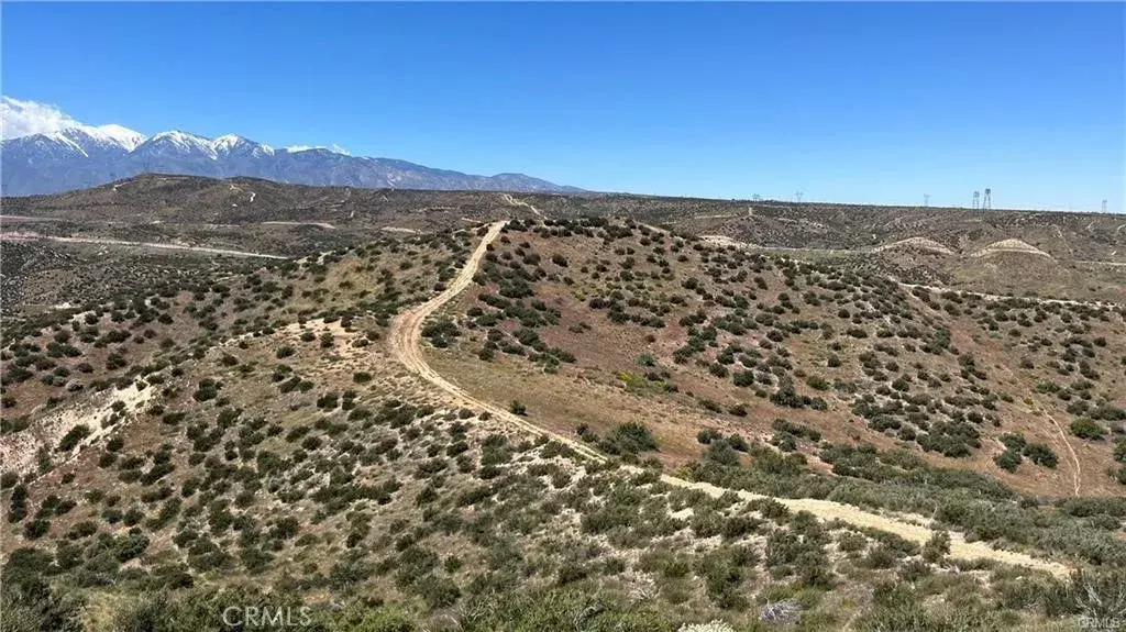 Hesperia, CA 92345,0 Catfish