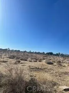 0 Pine Tree, Pinon Hills, CA 92372