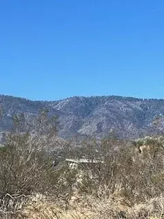 Pinon Hills, CA 92372,0 Pine Tree