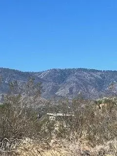 Pinon Hills, CA 92372,0 Pine Tree