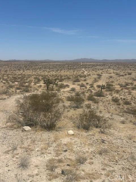 Helendale, CA 92342,0 No Address