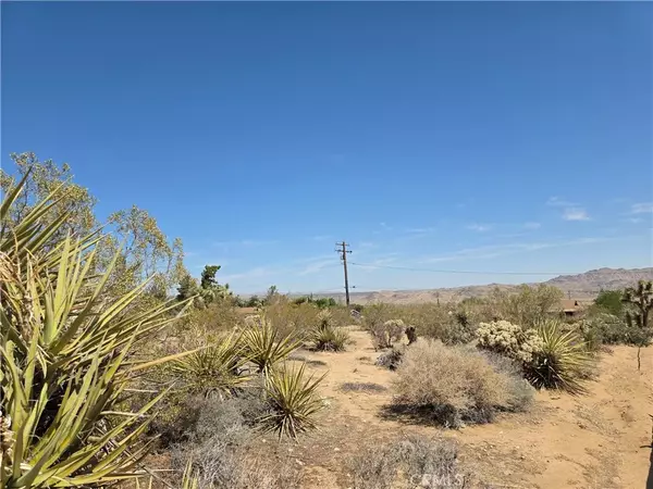 0 La Mirada, Joshua Tree, CA 92252