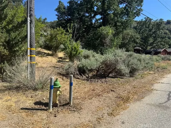 Bear Valley Springs, CA 93561,0 Butterfield