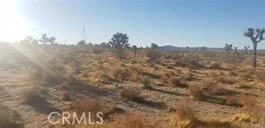 7 Near Racoon, Adelanto, CA 92301