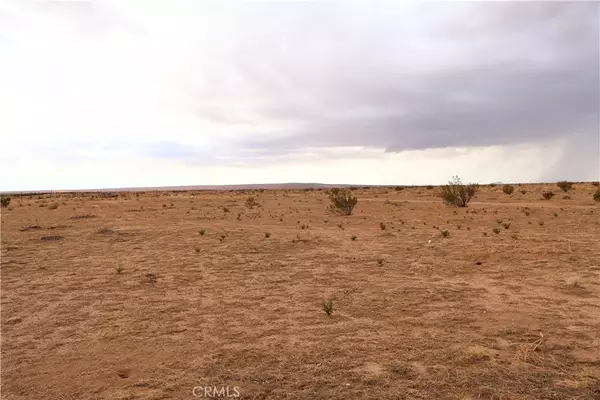 California City, CA 93505,0 Forest