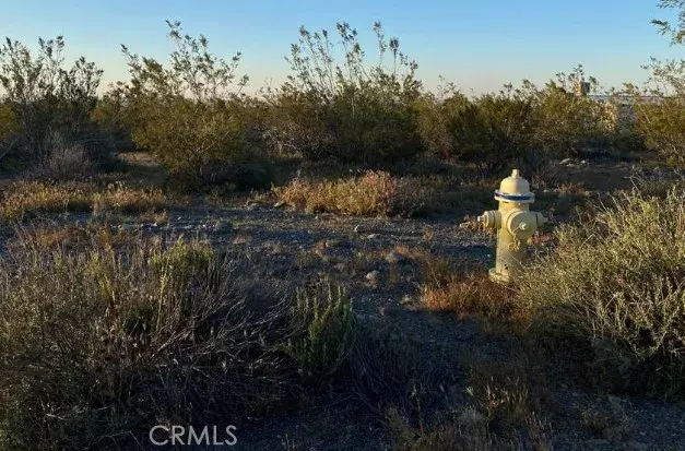 Pinon Hills, CA 92372,0 Calaveras