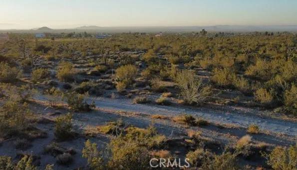 Pinon Hills, CA 92372,0 Calaveras