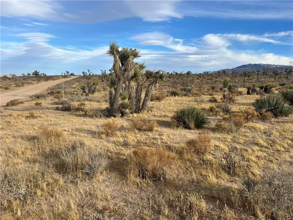 Apple Valley, CA 92308,23926 Poppy