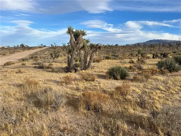 23926 Poppy, Apple Valley, CA 92308