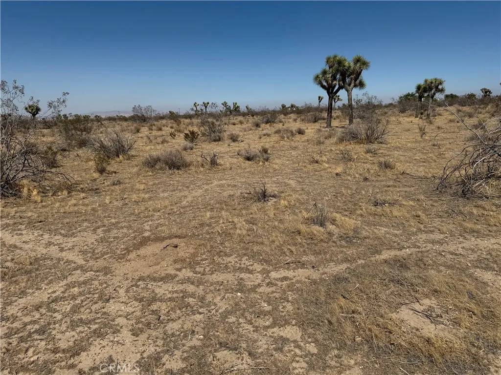 Phelan, CA 92371,12432 La Mirada