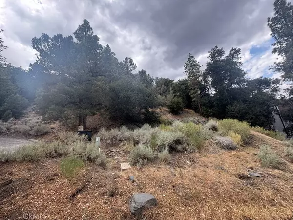Wrightwood, CA 92397,1772 Ash