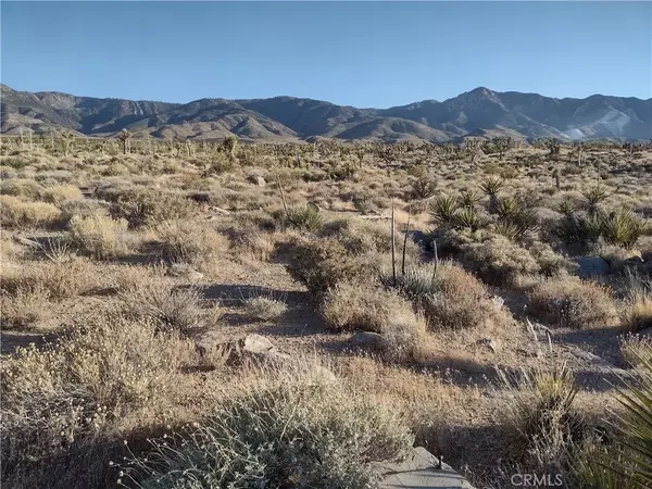 Lucerne Valley, CA 92356,15 Tate