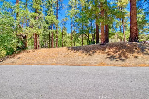 Wrightwood, CA 92397,0 Oriole