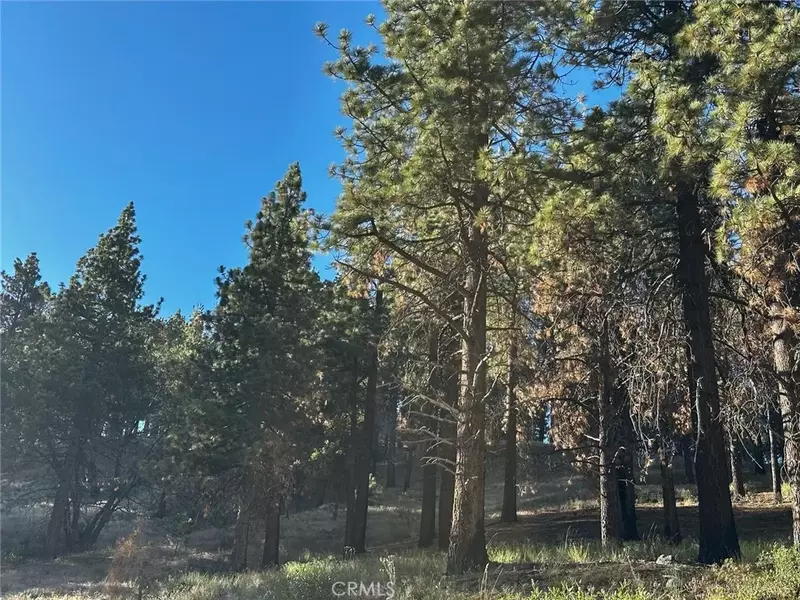 1 Crest Forest, Cedarpines Park, CA 92322
