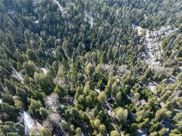 Cedar Glen, CA 92321,29629 Little Bear Creek