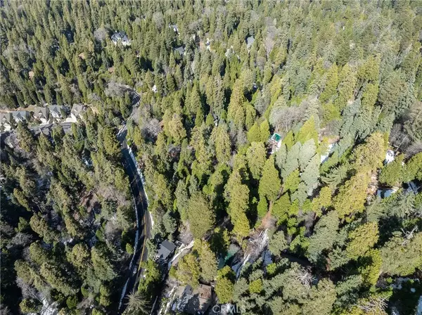 Cedar Glen, CA 92321,29629 Little Bear Creek