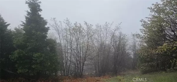 Rimforest, CA 92378,0 Bridal
