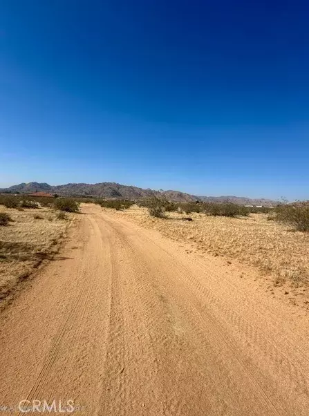 Apple Valley, CA 92307,1 Shirwaun