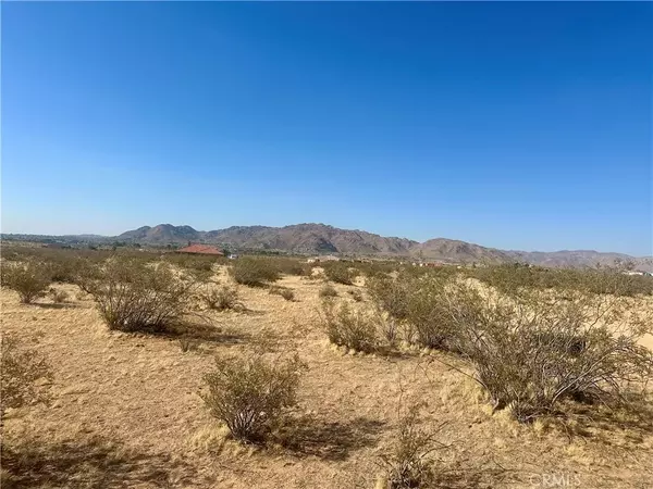 Apple Valley, CA 92307,1 Shirwaun