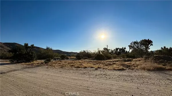 Yucca Valley, CA 92284,771 Scarvan