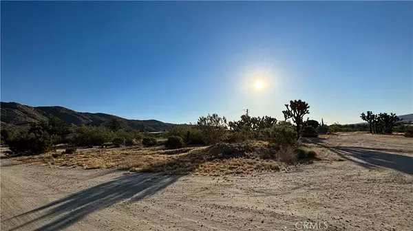 Yucca Valley, CA 92284,771 Scarvan