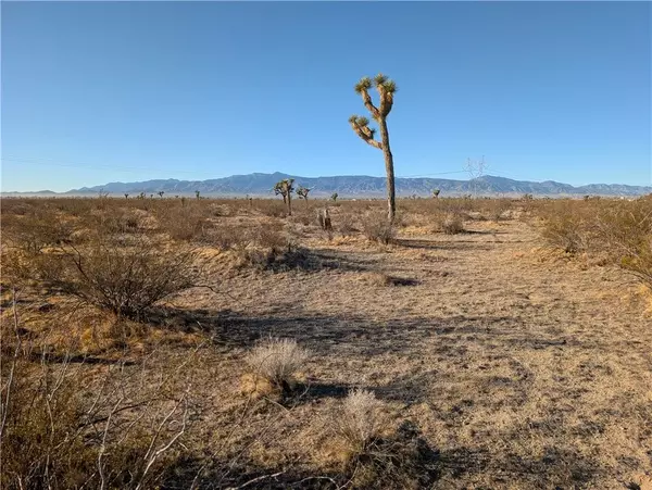 Phelan, CA 92371,0 Wilson Ranch Rd