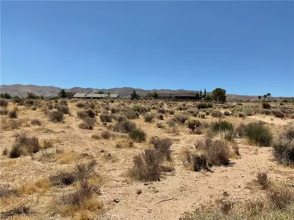 Apple Valley, CA 92308,7 Ocotillo