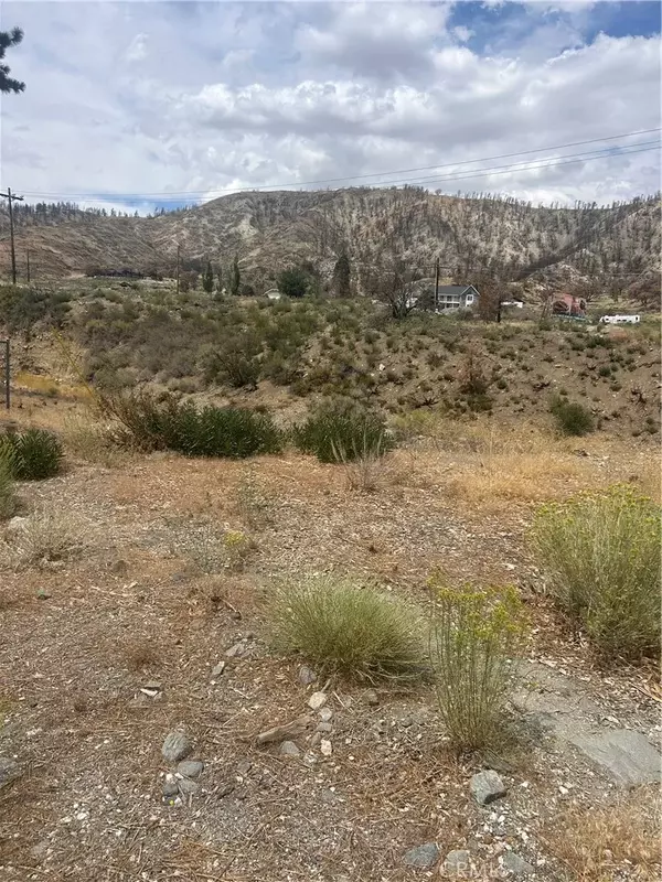 Wrightwood, CA 92397,26629 Swallow Hill