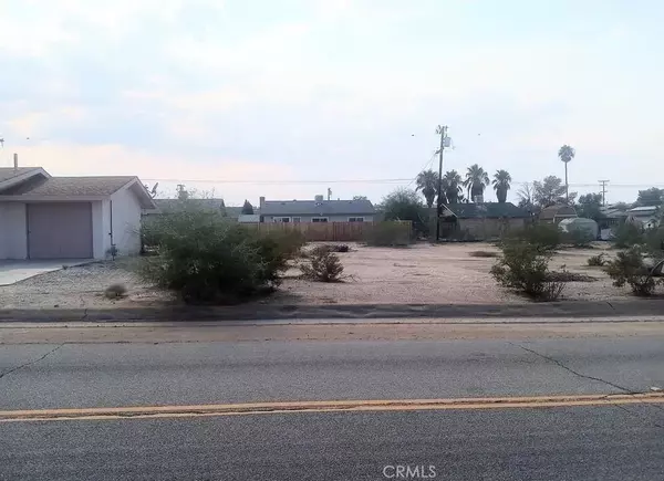 29 Palms, CA 92277,0 Lupine