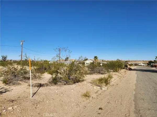 29 Palms, CA 92277,3 Juniper