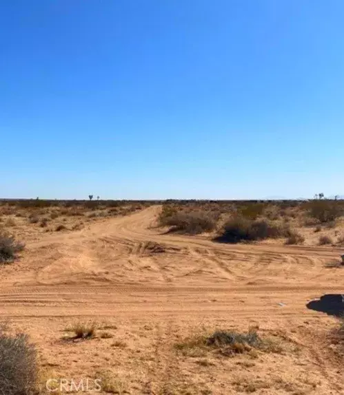 Helendale, CA 92342,0 Shelby