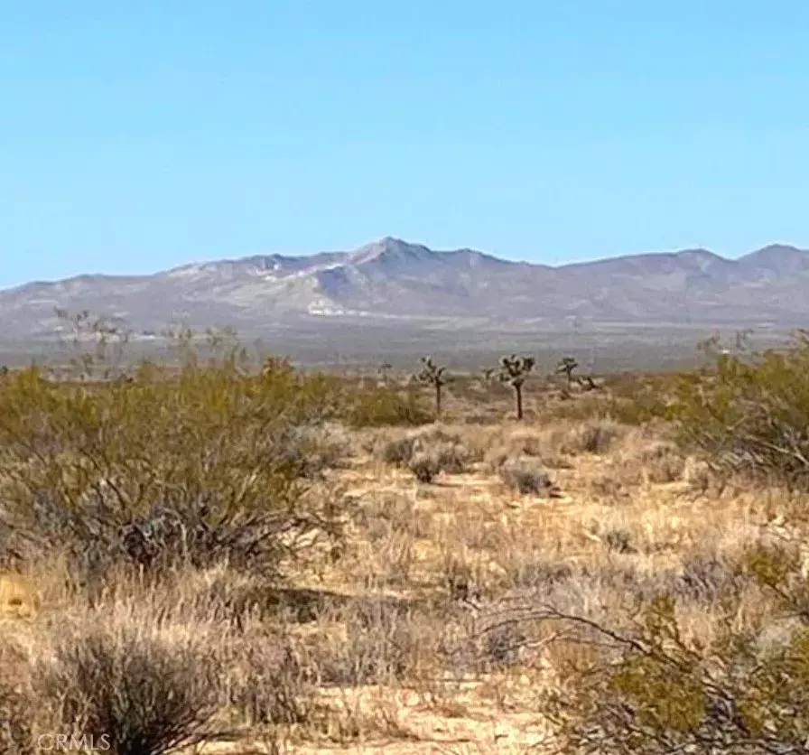 Helendale, CA 92342,1 Shelby