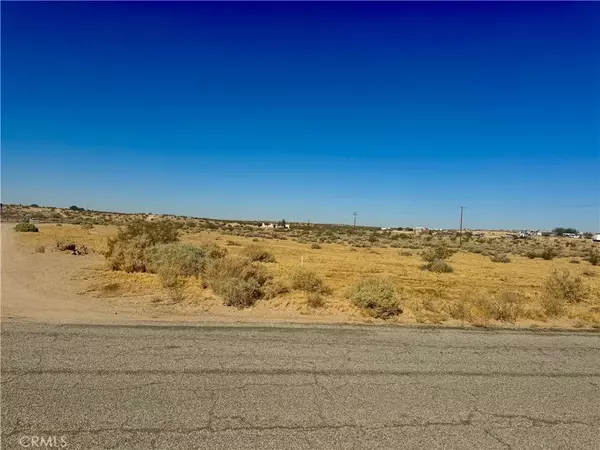 Helendale, CA 92342,0 Rodeo