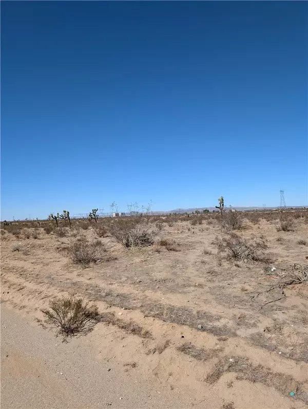 Adelanto, CA 92301,11150 Poppy Rd