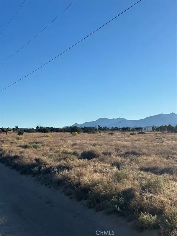 Phelan, CA 92371,0 Shasta