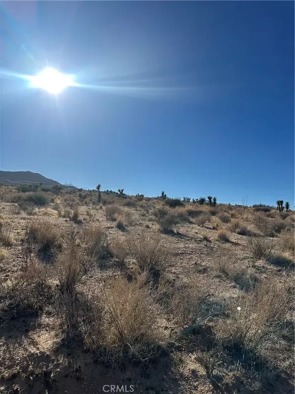 Apple Valley, CA 92308,0 Canyon View