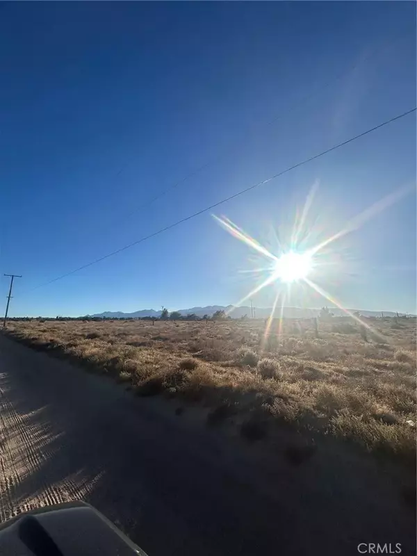 Phelan, CA 92371,0 Shasta