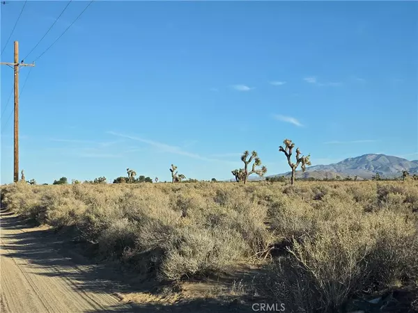 Lucerne Valley, CA 92356,800 Desert View