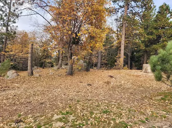 32240 Whisper, Running Springs, CA 92382