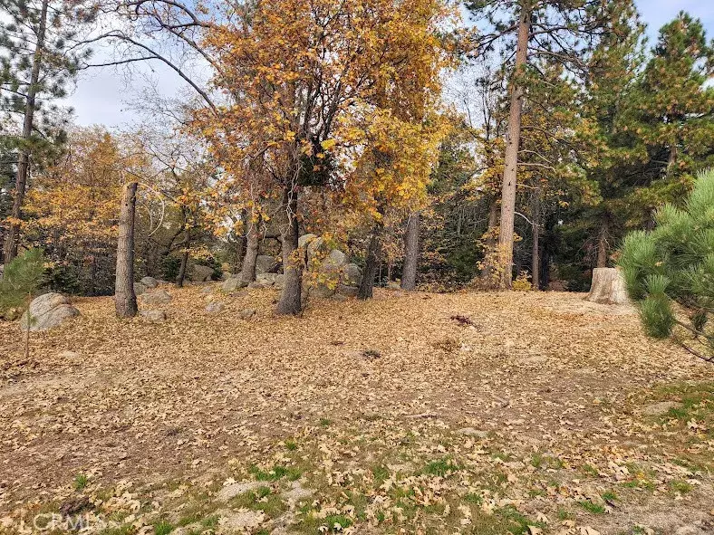 32240 Whisper, Running Springs, CA 92382