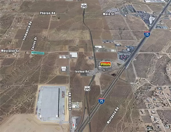 Oak Hills, CA 92344,0 Cactus