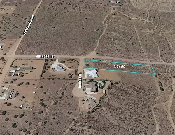 Oak Hills, CA 92344,0 Cactus