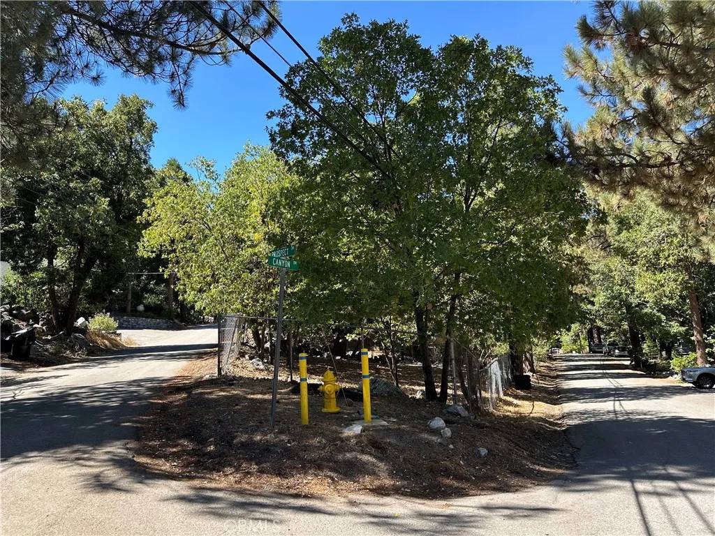 39329 Prospect, Forest Falls, CA 92339
