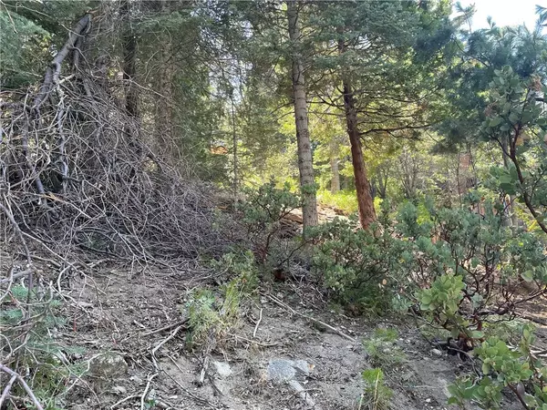 Twin Peaks, CA 92391,28 Lot 28 Forest
