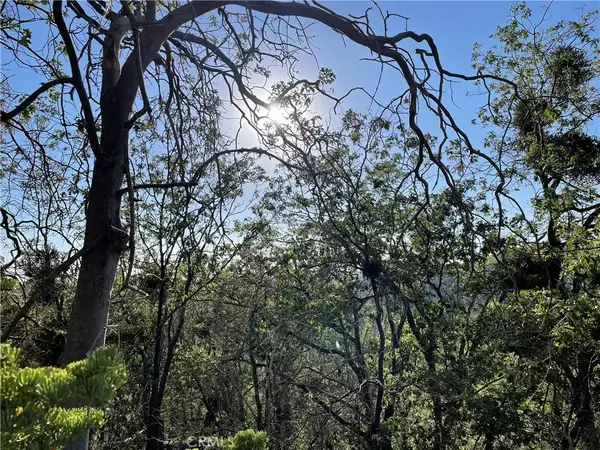 Arrowbear, CA 92382,23 Lot 23 Music Camp