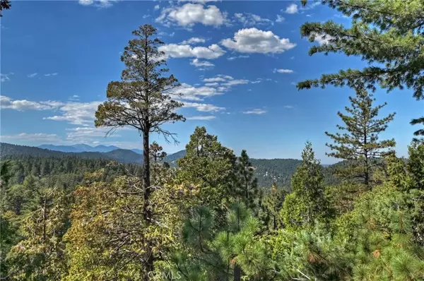 Crestline, CA 92325,23796 Crest Forest Drive