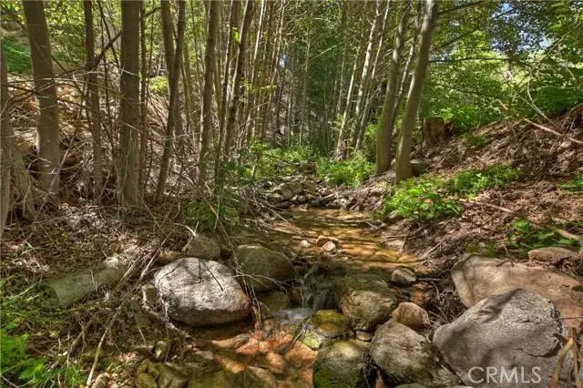 29649 Hook Creek, Cedar Glen, CA 92321